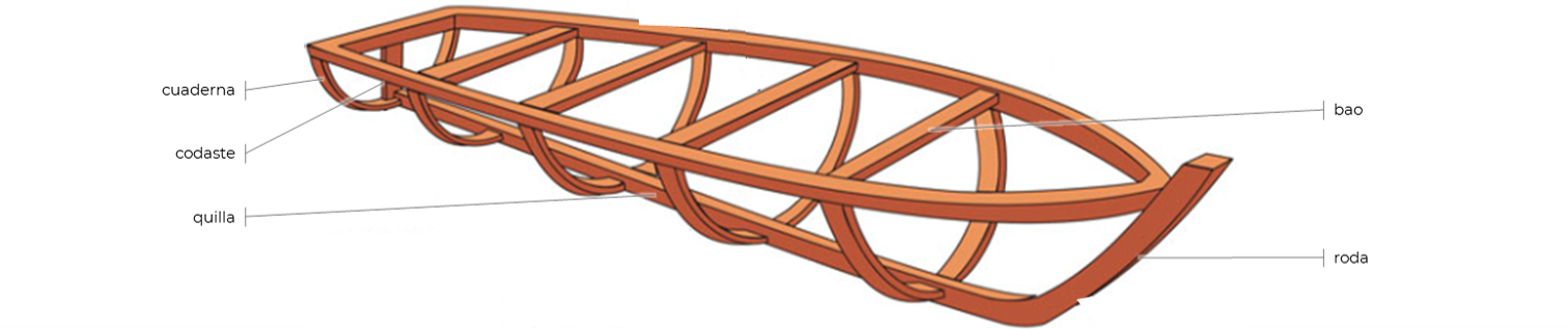 Partes estructurales