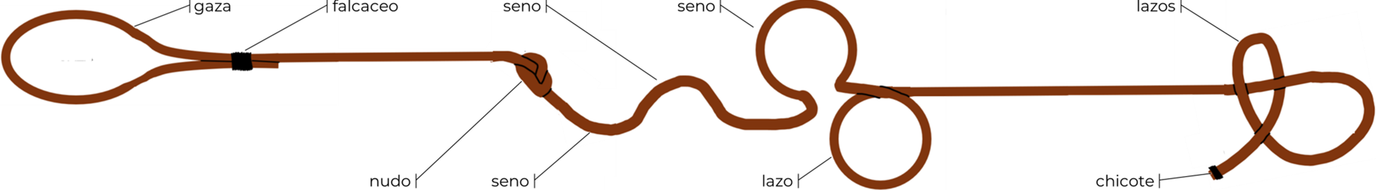 Gaza, seno, lazo y chicote