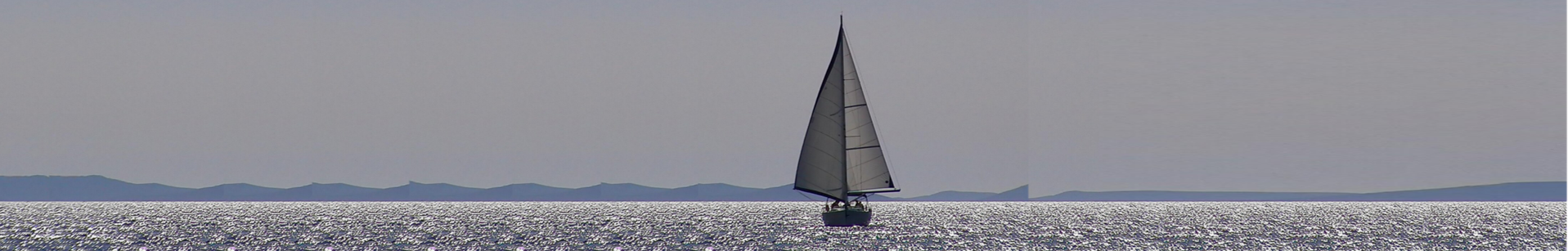 Navegando a orejas de burro