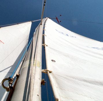 Curvatura del mástil