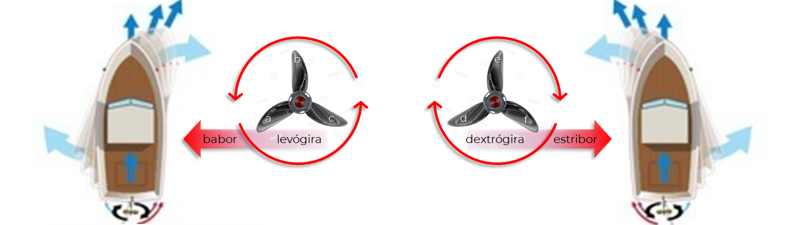 Las fuerzas laterales, hélices levógiras y dextrógiras