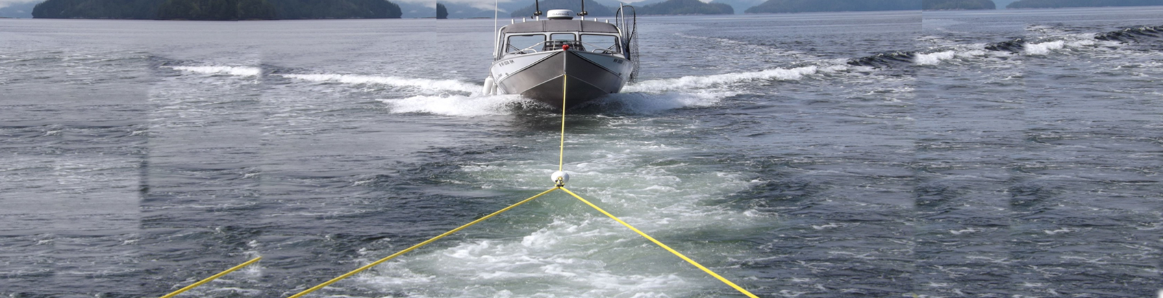 Pata de Gallo de remolque