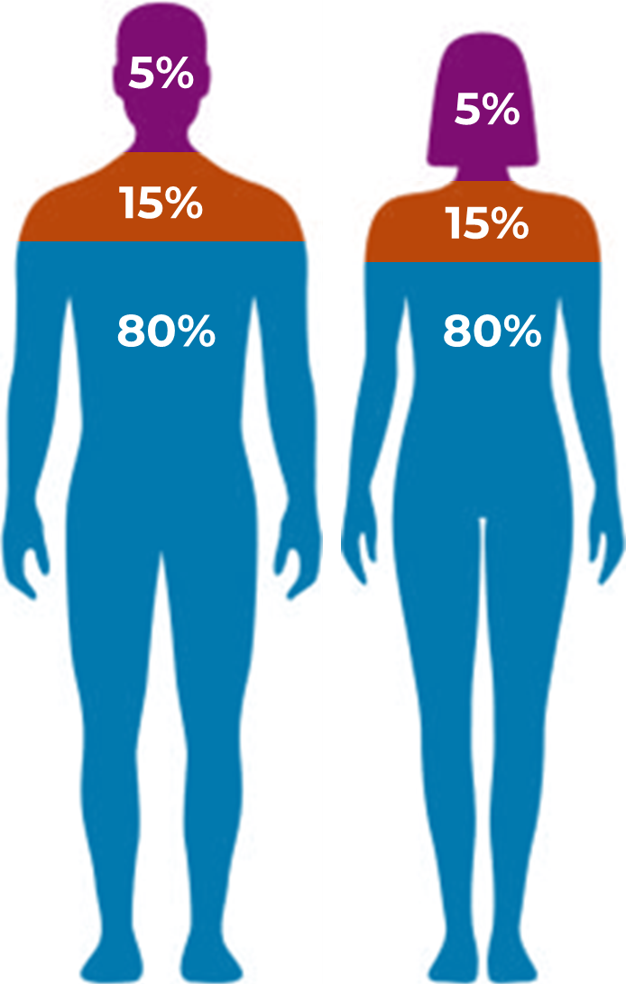 Composición corporal