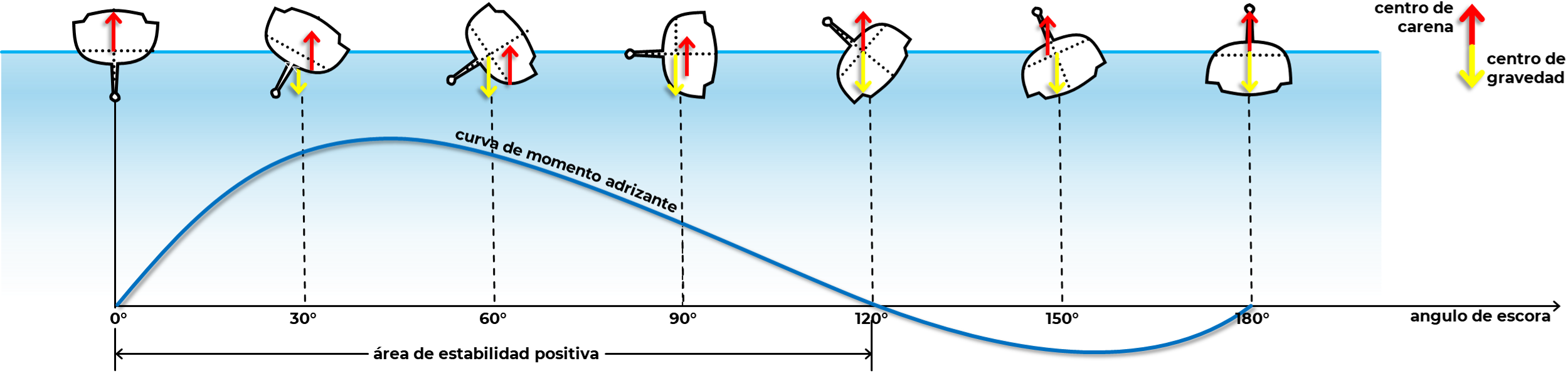 Curva de par adrizante