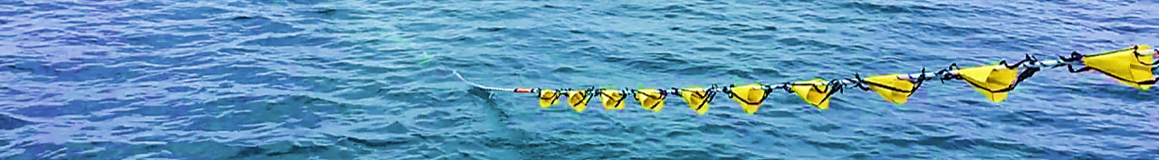 Jordan Series Drogue