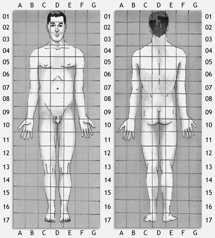 Lámina de situación de síntomas