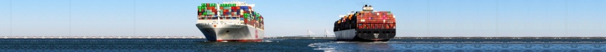 Navegación en canales angostos