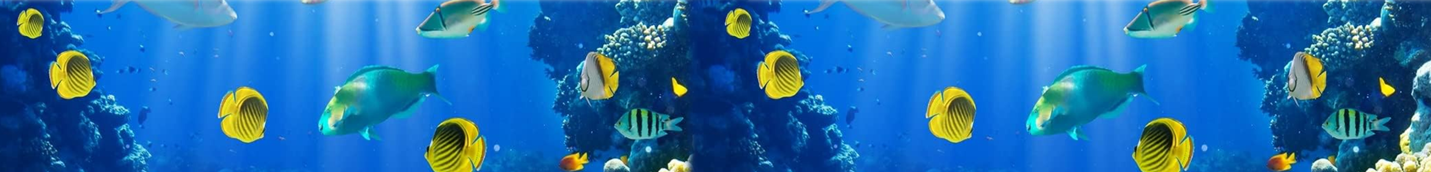 Protección del Medio Ambiente