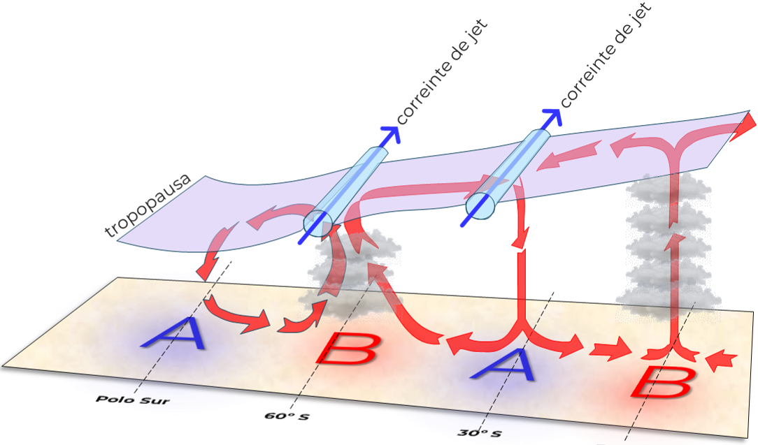 Celdas de circulación