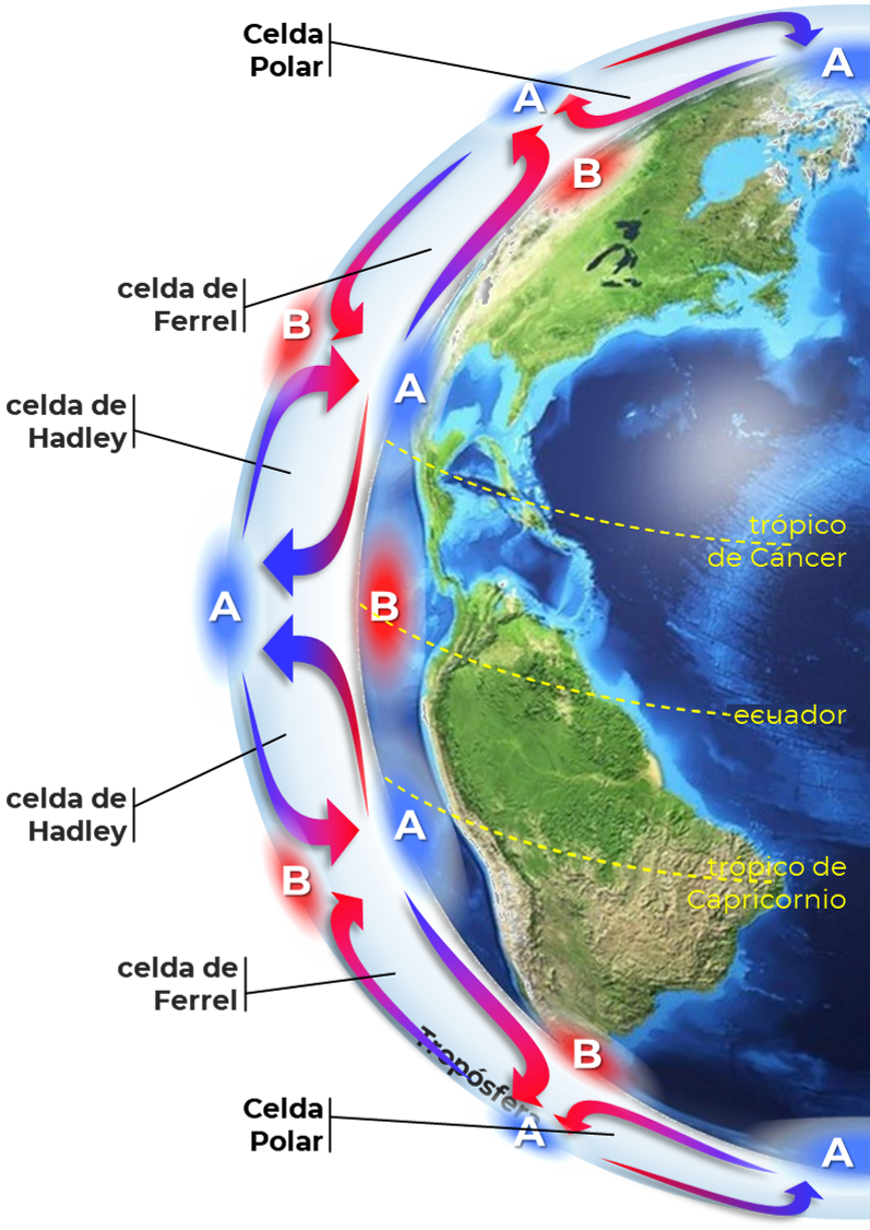 Celdas de circulación