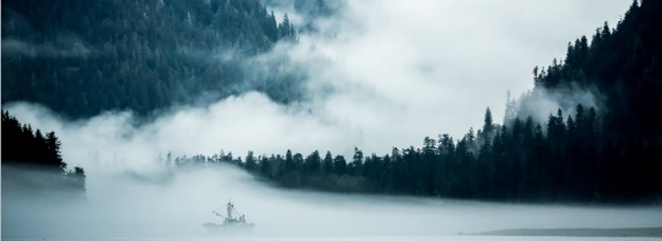 Niebla de radiación