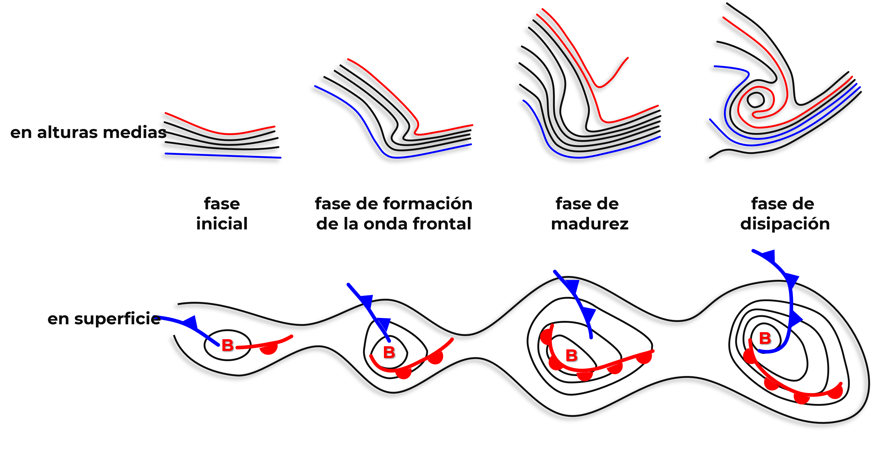 Modelo Shapiro-Keyser